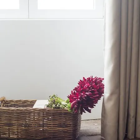 Bnapartments Carregal