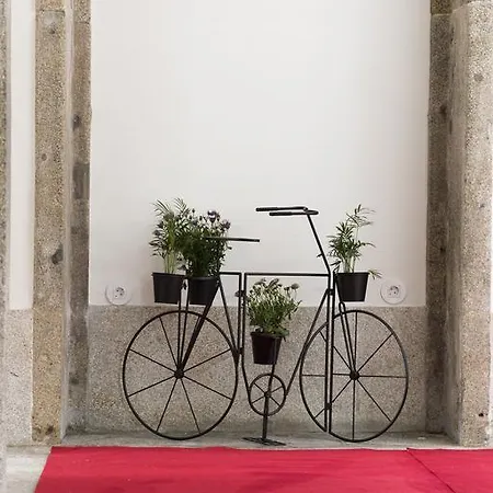 Bnapartments Carregal