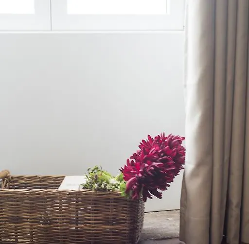 Bnapartments Carregal